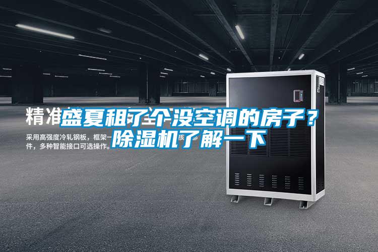 盛夏租了個(gè)沒空調(diào)的房子？除濕機(jī)了解一下