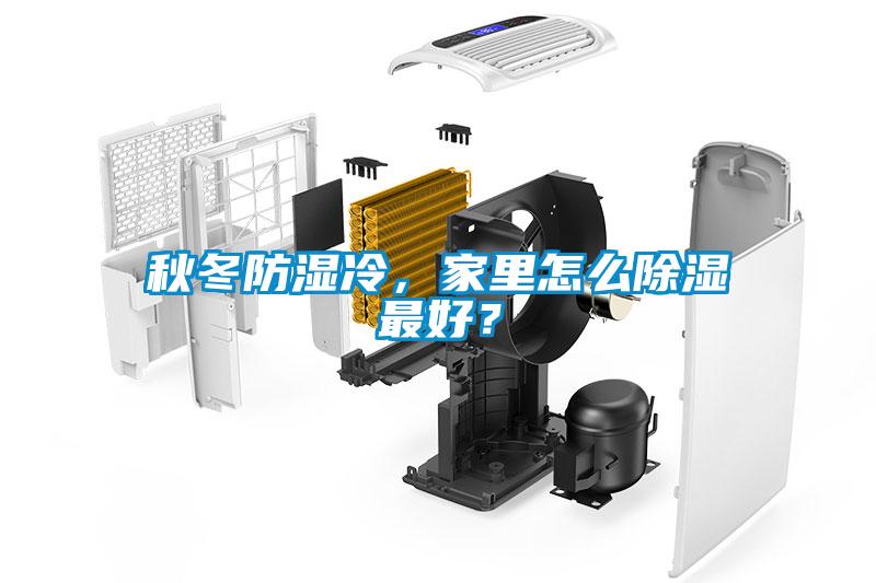秋冬防濕冷，家里怎么除濕最好？
