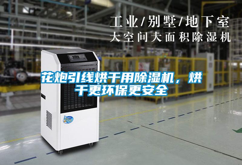 花炮引線烘干用除濕機(jī)，烘干更環(huán)保更安全