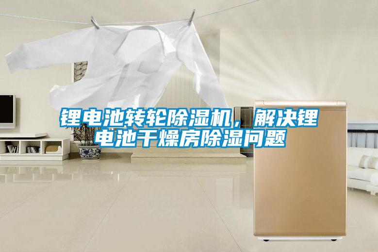 鋰電池轉(zhuǎn)輪除濕機，解決鋰電池干燥房除濕問題