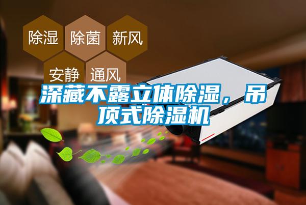 深藏不露立體除濕，吊頂式除濕機(jī)