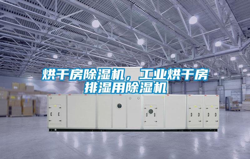 烘干房除濕機(jī)，工業(yè)烘干房排濕用除濕機(jī)