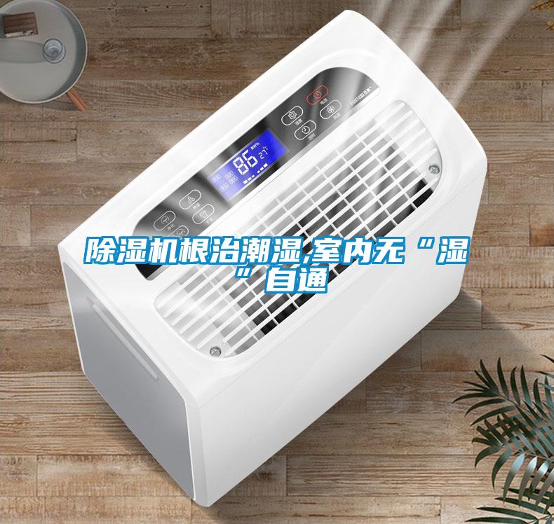 除濕機(jī)根治潮濕,室內(nèi)無(wú)“濕”自通