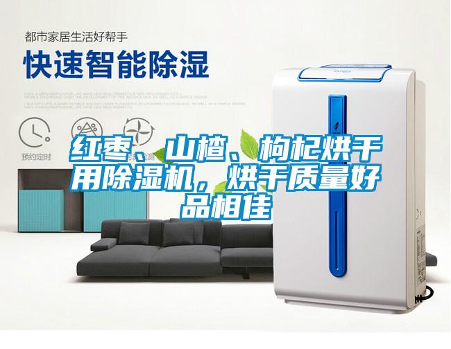 紅棗、山楂、枸杞烘干用除濕機(jī)，烘干質(zhì)量好品相佳