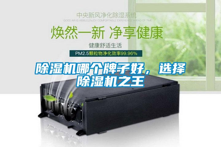 除濕機(jī)哪個牌子好，選擇除濕機(jī)之王