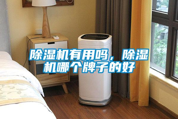 除濕機(jī)有用嗎，除濕機(jī)哪個(gè)牌子的好