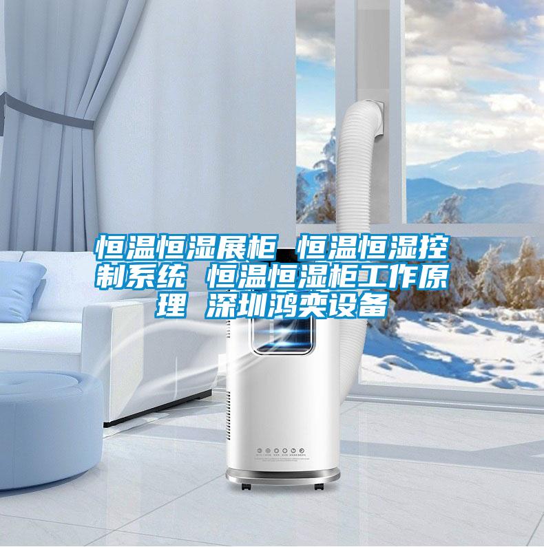 恒溫恒濕展柜 恒溫恒濕控制系統(tǒng) 恒溫恒濕柜工作原理 深圳鴻奕設備