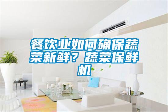 餐飲業(yè)如何確保蔬菜新鮮？蔬菜保鮮機
