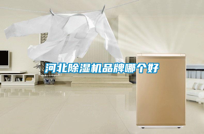 河北除濕機(jī)品牌哪個好