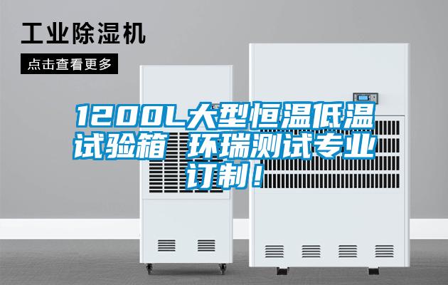 1200L大型恒溫低溫試驗箱 環(huán)瑞測試專業(yè)訂制！