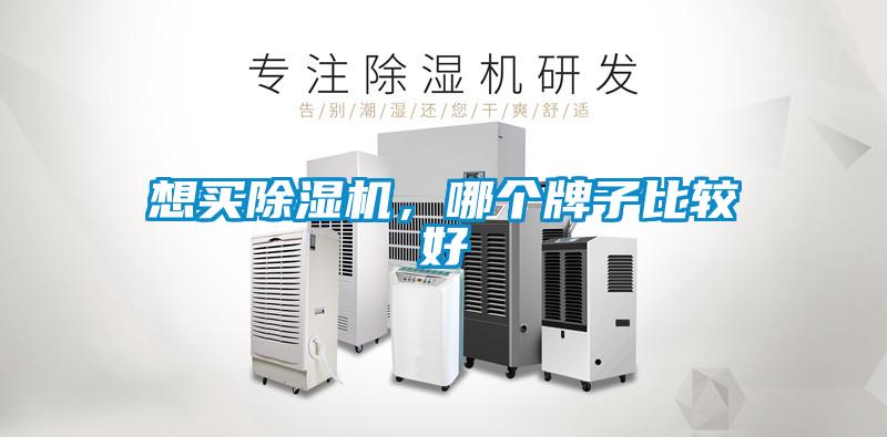 想買(mǎi)除濕機(jī)，哪個(gè)牌子比較好