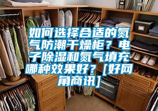 如何選擇合適的氮?dú)夥莱备稍锕瘢侩娮映凉窈偷獨(dú)馓畛淠姆N效果好？[好網(wǎng)角商訊]