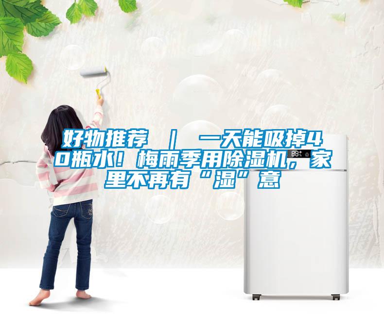 好物推薦 ｜ 一天能吸掉40瓶水！梅雨季用除濕機(jī)，家里不再有“濕”意