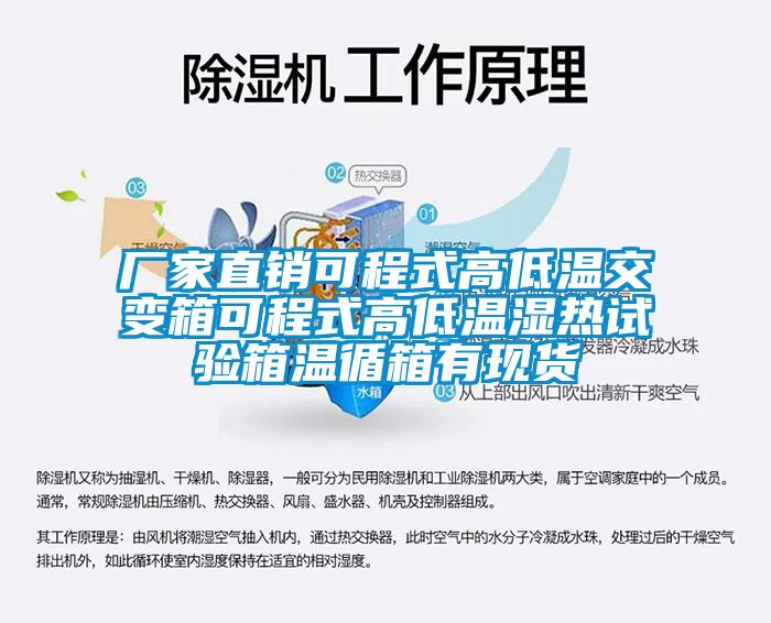 廠家直銷(xiāo)可程式高低溫交變箱可程式高低溫濕熱試驗(yàn)箱溫循箱有現(xiàn)貨