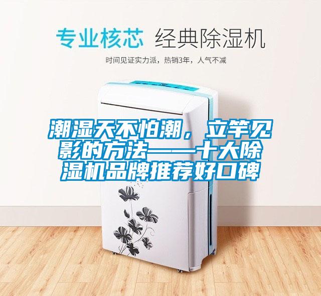 潮濕天不怕潮，立竿見影的方法——十大除濕機(jī)品牌推薦好口碑