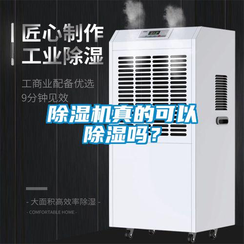 除濕機(jī)真的可以除濕嗎？