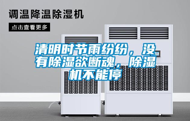 清明時(shí)節(jié)雨紛紛，沒有除濕欲斷魂，除濕機(jī)不能停