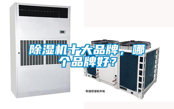 除濕機十大品牌，哪個品牌好？