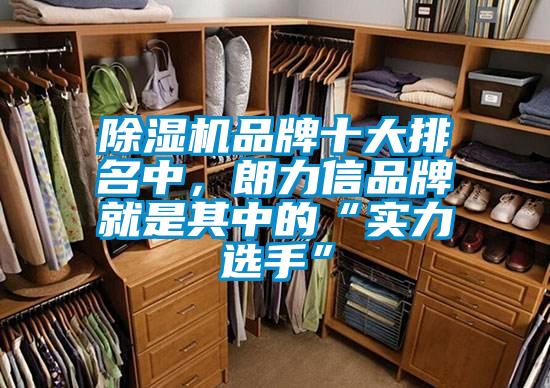 除濕機(jī)品牌十大排名中，朗力信品牌就是其中的“實(shí)力選手”