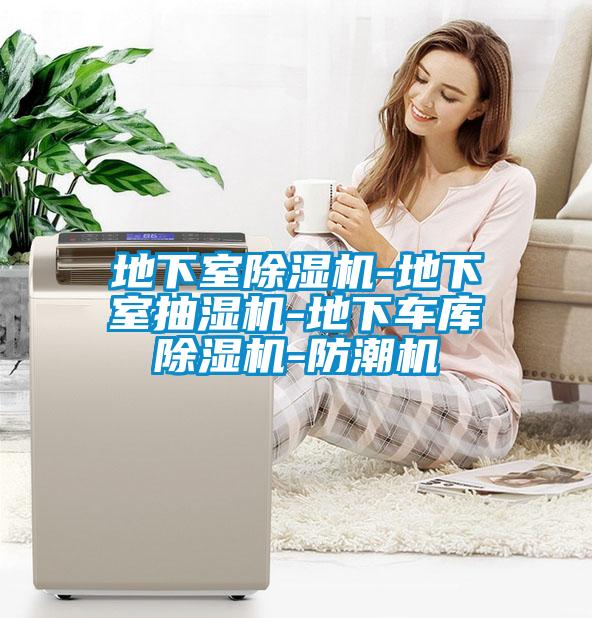 地下室除濕機(jī)-地下室抽濕機(jī)-地下車庫(kù)除濕機(jī)-防潮機(jī)
