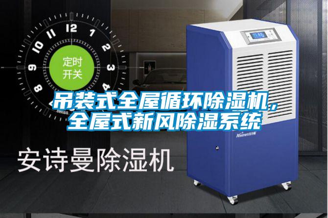 吊裝式全屋循環(huán)除濕機(jī)，全屋式新風(fēng)除濕系統(tǒng)
