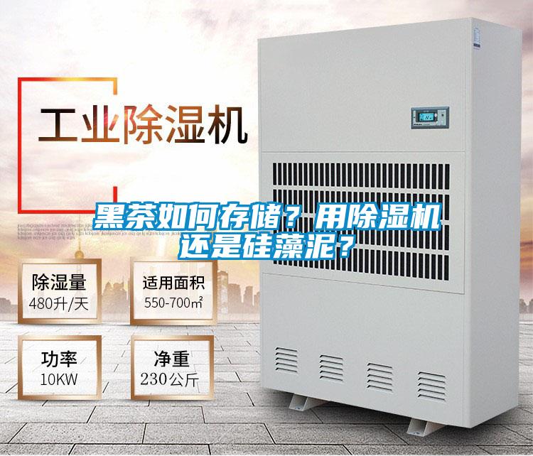 黑茶如何存儲？用除濕機(jī)還是硅藻泥？