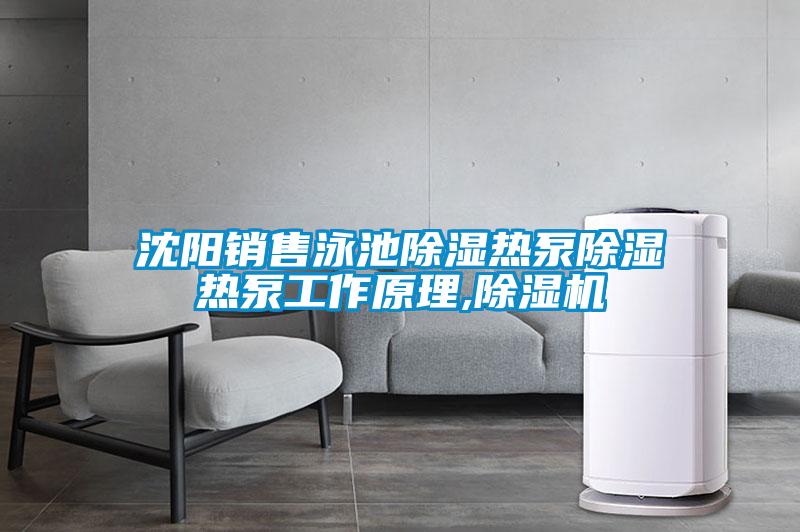 沈陽(yáng)銷(xiāo)售泳池除濕熱泵除濕熱泵工作原理,除濕機(jī)
