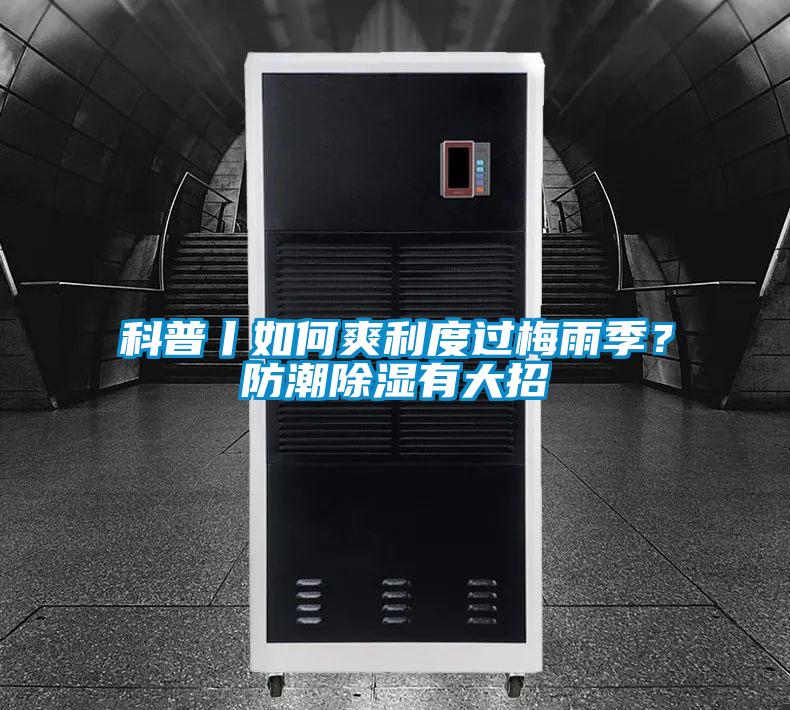 科普丨如何爽利度過梅雨季？防潮除濕有大招