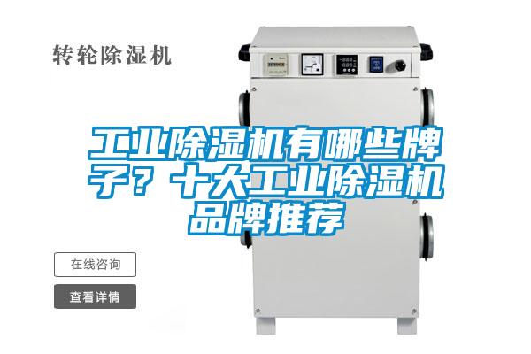 工業(yè)除濕機有哪些牌子？十大工業(yè)除濕機品牌推薦