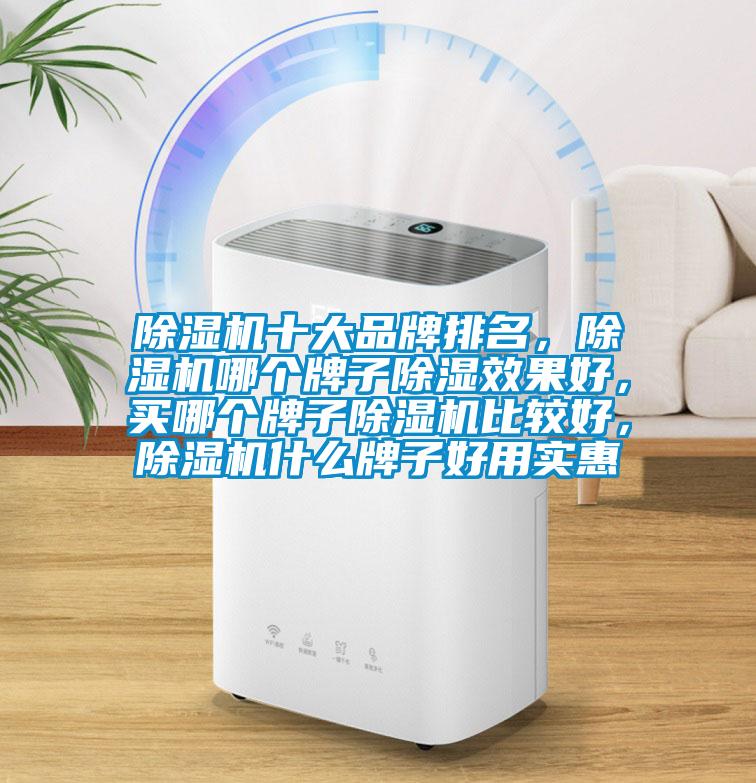 除濕機十大品牌排名，除濕機哪個牌子除濕效果好，買哪個牌子除濕機比較好，除濕機什么牌子好用實惠