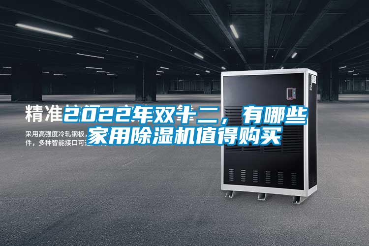 2022年雙十二，有哪些家用除濕機(jī)值得購買