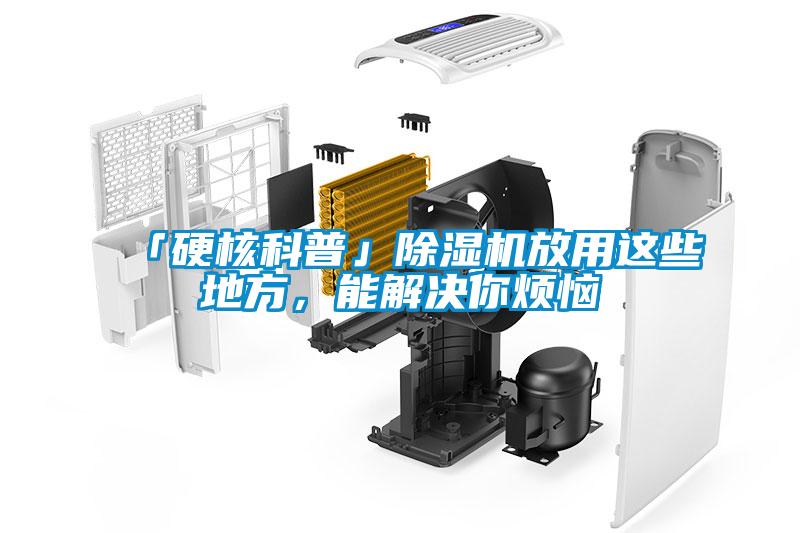 「硬核科普」除濕機放用這些地方，能解決你煩惱