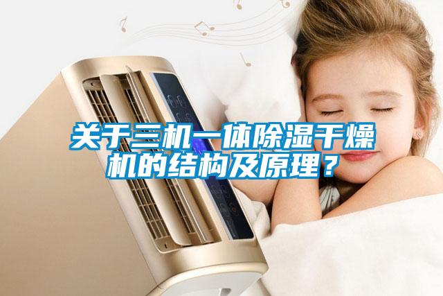 關(guān)于三機一體除濕干燥機的結(jié)構(gòu)及原理？