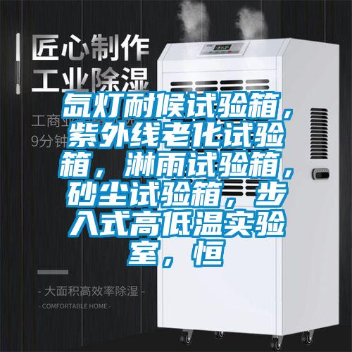 氙燈耐候試驗箱，紫外線老化試驗箱，淋雨試驗箱，砂塵試驗箱，步入式高低溫實驗室，恒