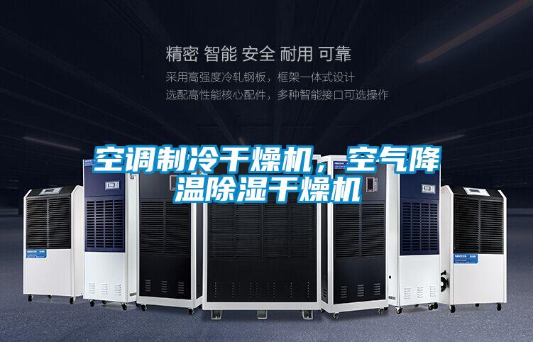 空調(diào)制冷干燥機(jī)，空氣降溫除濕干燥機(jī)