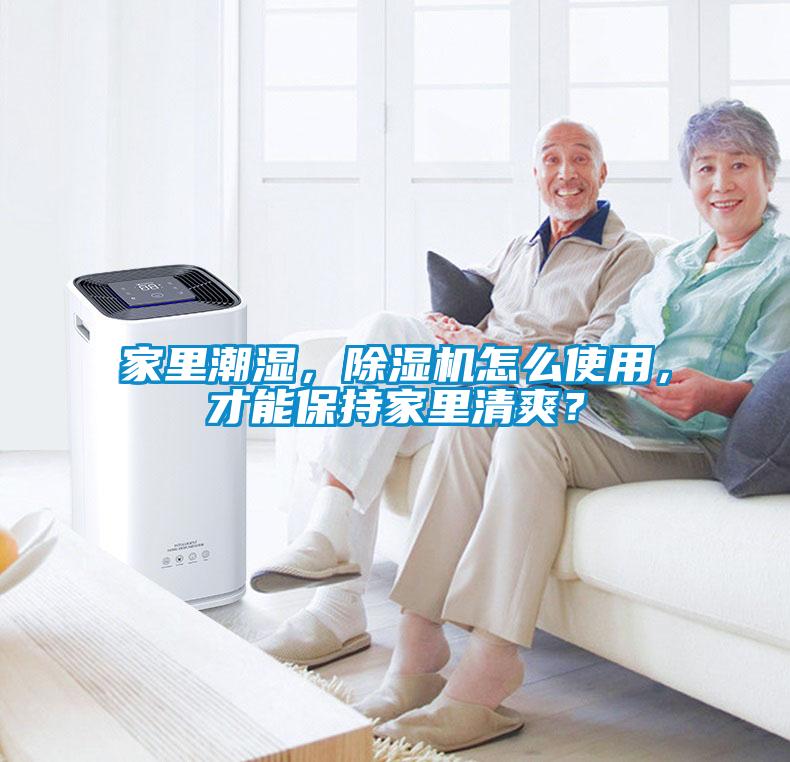 家里潮濕，除濕機怎么使用，才能保持家里清爽？