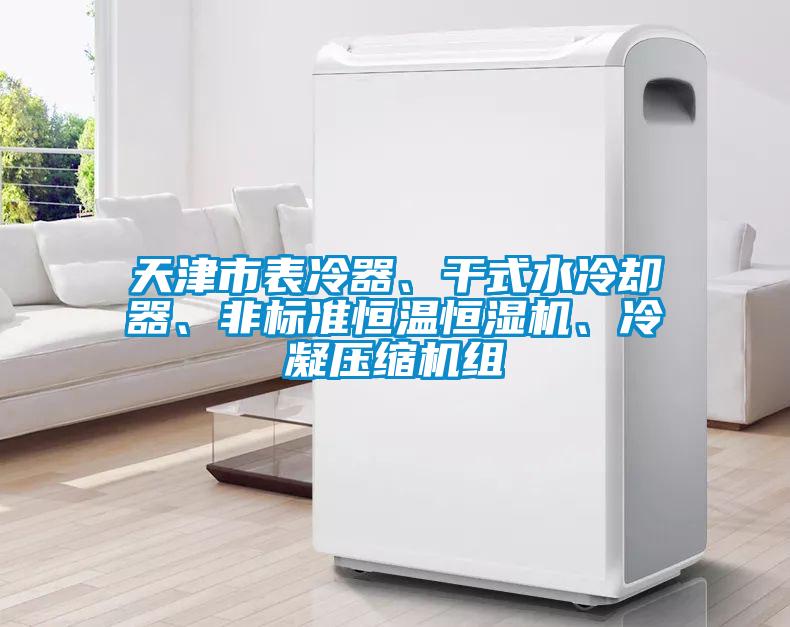 天津市表冷器、干式水冷卻器、非標準恒溫恒濕機、冷凝壓縮機組