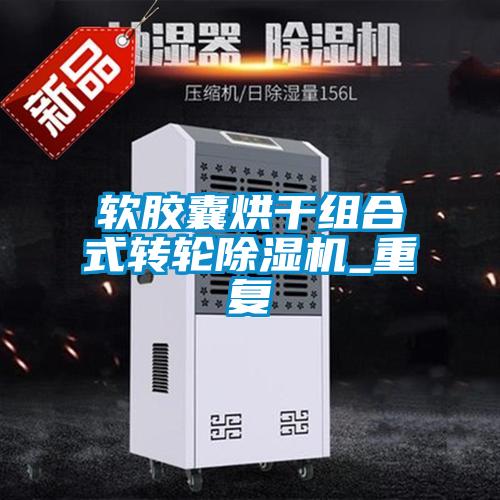 軟膠囊烘干組合式轉(zhuǎn)輪除濕機_重復
