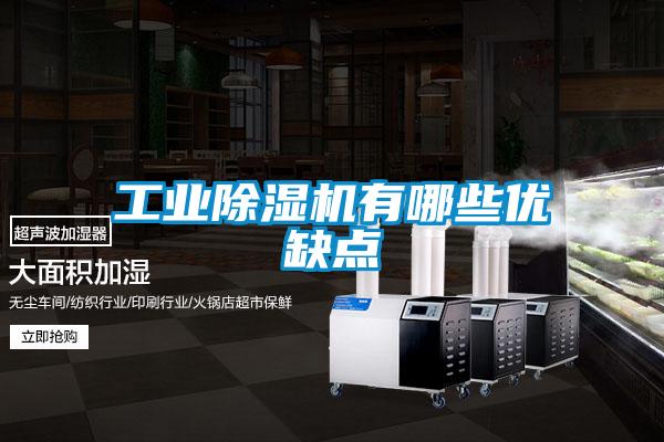工業(yè)除濕機(jī)有哪些優(yōu)缺點
