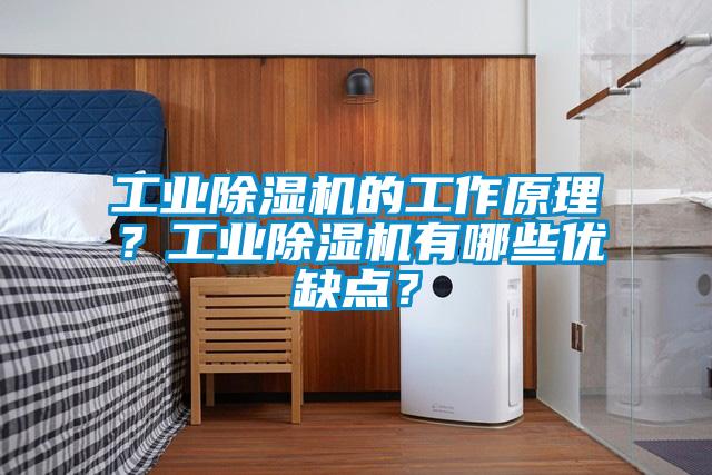 工業(yè)除濕機(jī)的工作原理？工業(yè)除濕機(jī)有哪些優(yōu)缺點(diǎn)？