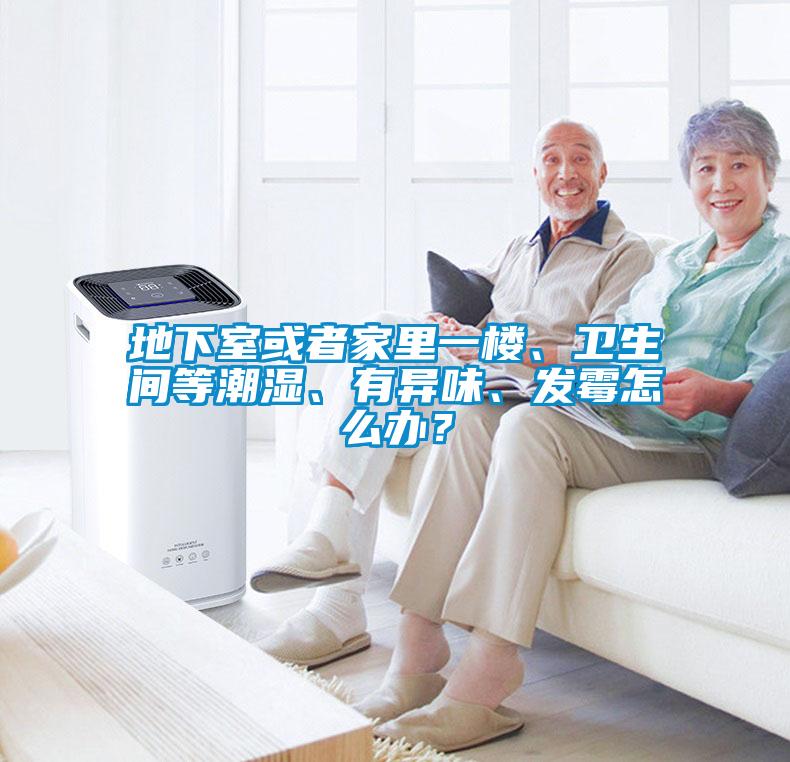 地下室或者家里一樓、衛(wèi)生間等潮濕、有異味、發(fā)霉怎么辦？