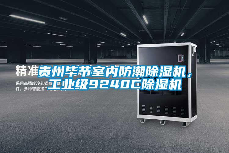 貴州畢節(jié)室內(nèi)防潮除濕機(jī)，工業(yè)級9240C除濕機(jī)