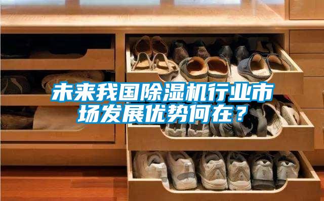 未來我國除濕機行業(yè)市場發(fā)展優(yōu)勢何在？