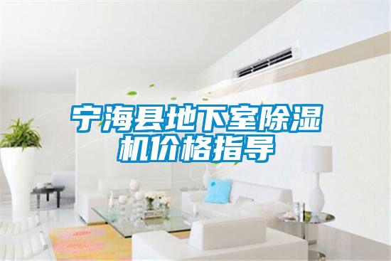 寧?？h地下室除濕機價格指導