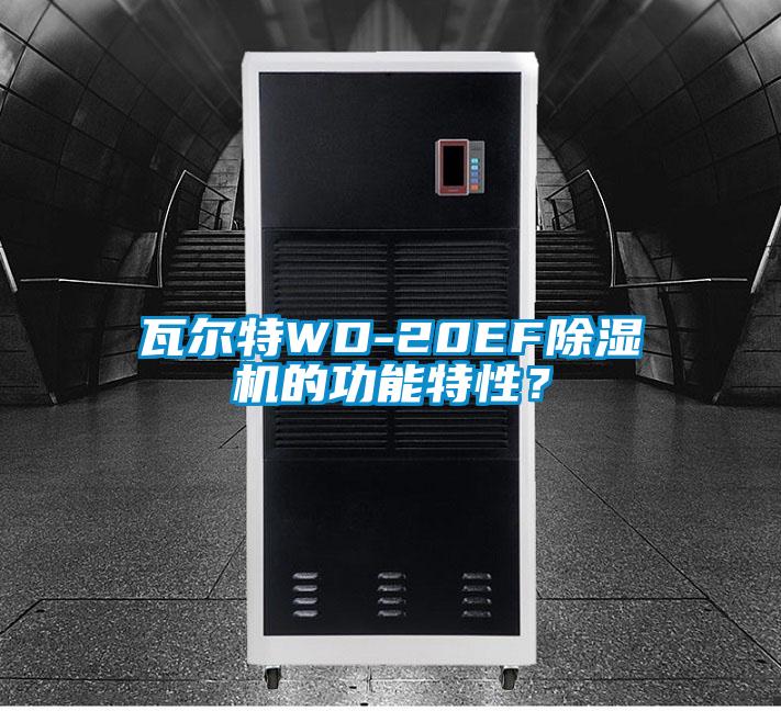 瓦爾特WD-20EF除濕機(jī)的功能特性？