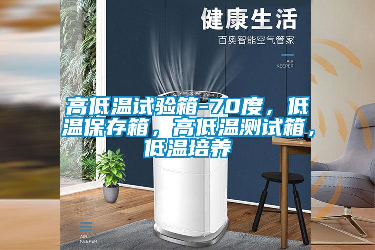 高低溫試驗(yàn)箱-70度，低溫保存箱，高低溫測試箱，低溫培養(yǎng)