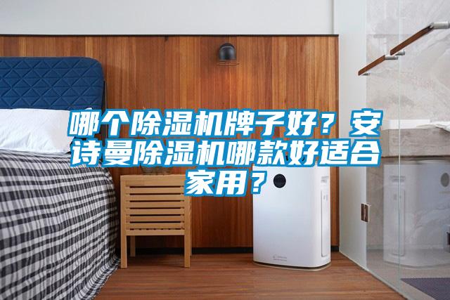 哪個除濕機牌子好？安詩曼除濕機哪款好適合家用？