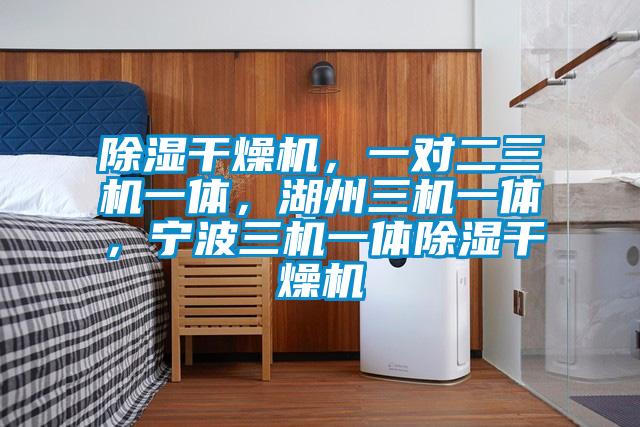 除濕干燥機(jī)，一對(duì)二三機(jī)一體，湖州三機(jī)一體，寧波三機(jī)一體除濕干燥機(jī)