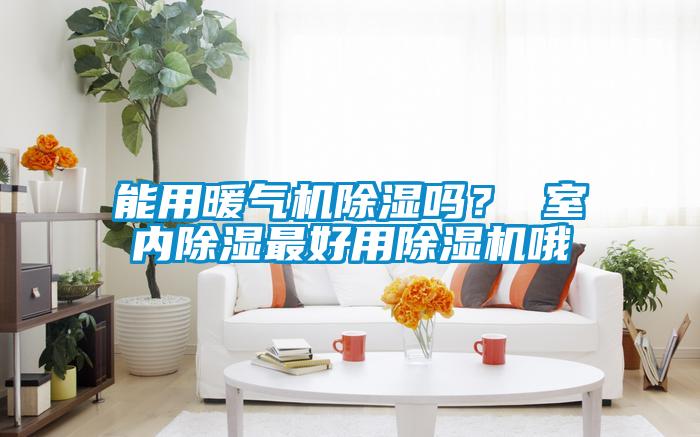 能用暖氣機(jī)除濕嗎？ 室內(nèi)除濕最好用除濕機(jī)哦