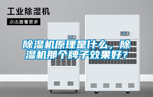 除濕機原理是什么，除濕機那個牌子效果好？